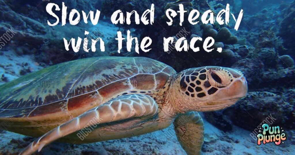 Slow and Steady Love Captions