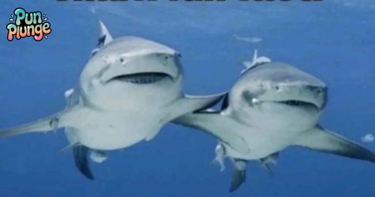 64 Shark Puns and Jokes That Bite